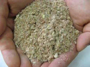 tn_kukorica_ocsu5.jpg tn_kukorica_ocsu5.jpg